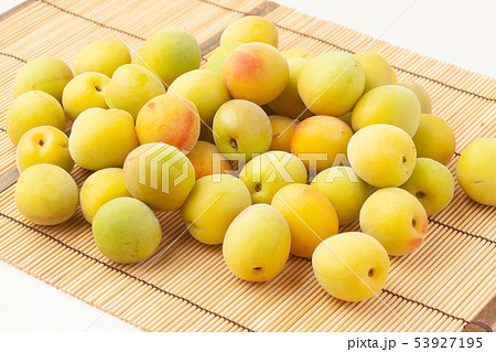 南高梅 南高梅 53927195