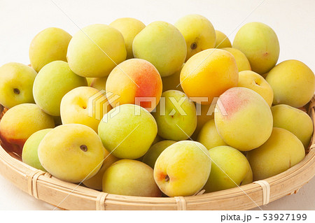 南高梅 南高梅 53927199