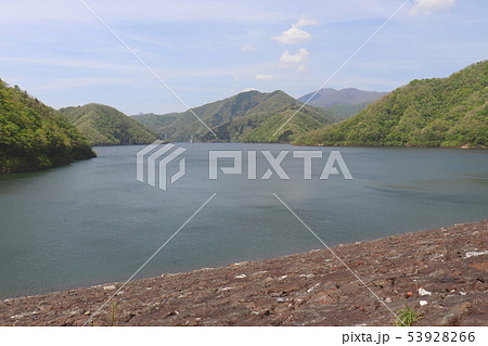 ダム湖(岐阜県・徳山湖) ダム湖(岐阜県・徳山湖) 53928266