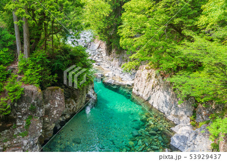 阿寺渓谷 犬帰りの淵 阿寺渓谷 犬帰りの淵 53929437
