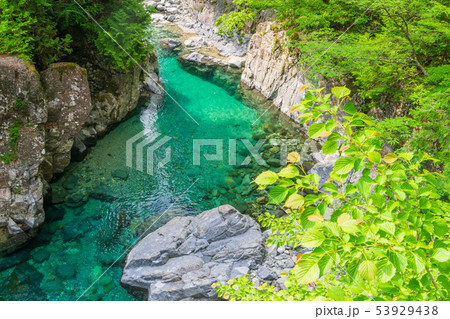 阿寺渓谷　犬帰りの淵 53929438