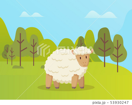 Sheep Stands on Green Grass Vector Cartoon Animal 53930247