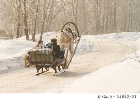 a villager in a village goes in a makeshift sleigh and runs a horse, a clear winter day 53930701