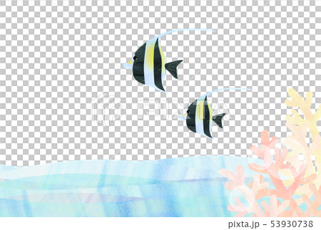 Tropical fish 53930738