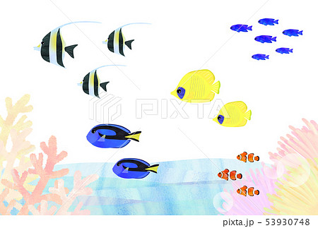 熱帯魚 海水魚 いろいろのイラスト素材 [53930748] - PIXTA