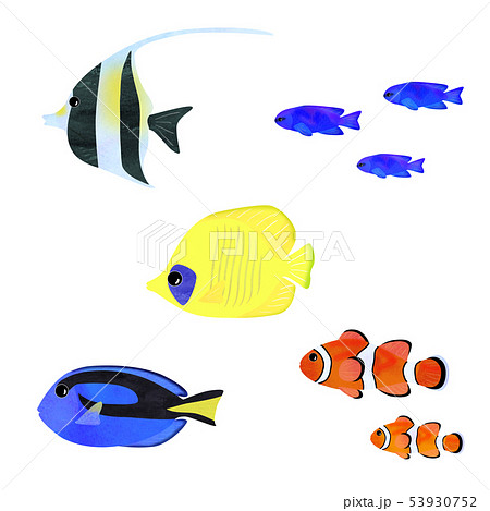 熱帯魚 海水魚 いろいろのイラスト素材 53930752 Pixta
