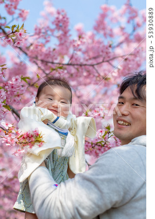 桜と家族写真 桜と家族写真 53930889