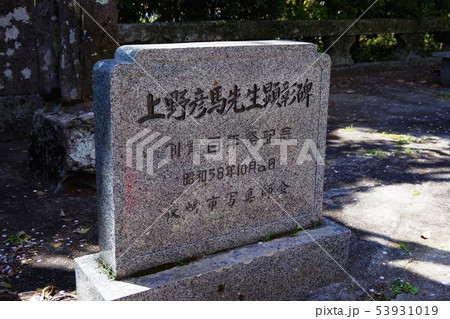 上野彦馬の墓地 53931019