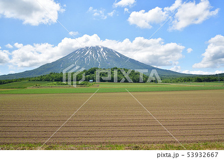 初夏の北海道倶知安町で芽が出たばかりの大豆畑と残雪の羊蹄山(蝦夷富士)の風景を撮影 初夏の北海道倶知安町で芽が出たばかりの大豆畑と残雪の羊蹄山(蝦夷富士)の風景を撮影 53932667