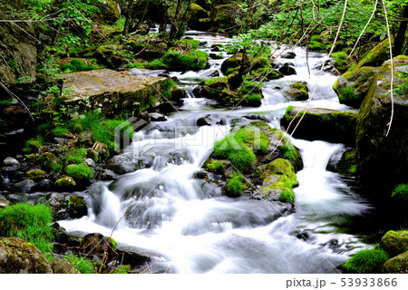 信州新緑に映える 滝の湯川 渓谷 53933866