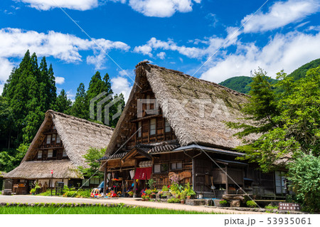 初夏の五箇山　菅沼集落 53935061