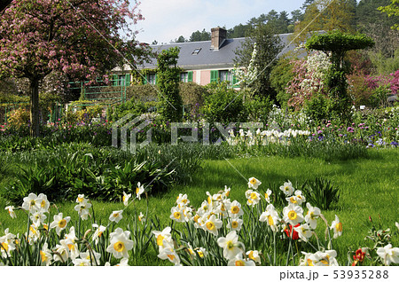 モネの庭 53935288