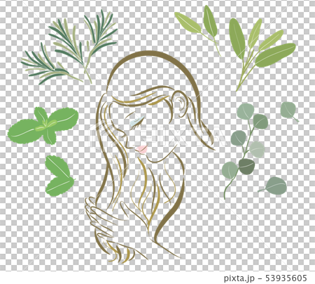 オーガニック ハーブいろいろヘアケア女性のイラスト素材