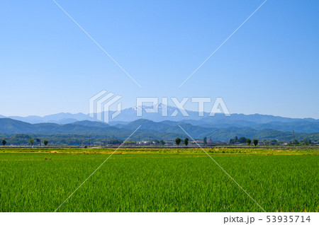 白山遠望と田んぼ 6月中旬撮影 石川県能美市 白山遠望と田んぼ 6月中旬撮影 石川県能美市 53935714