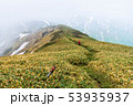 谷川岳　主稜線 53935937