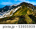 谷川岳主稜線に咲く花 53935939