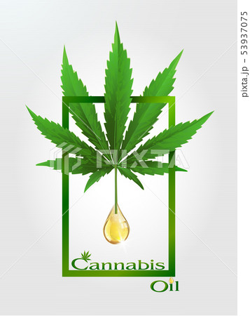 Cannabis Marijauna Drop Oil Natuer Medical Uses のイラスト素材