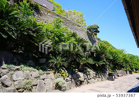 仙厳園 鹿児島県 仙厳園 鹿児島県 53937367