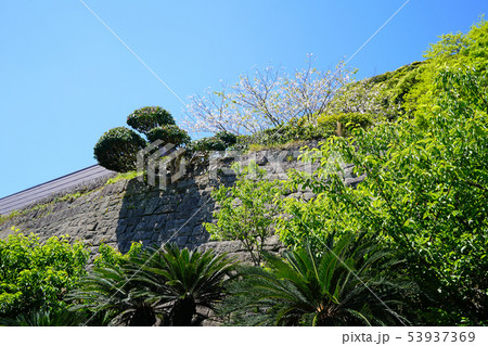 仙厳園 鹿児島県 仙厳園 鹿児島県 53937369