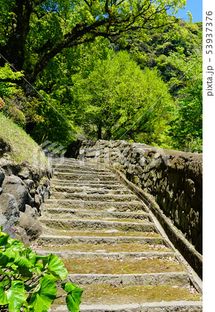 仙厳園 鹿児島県 仙厳園 鹿児島県 53937376