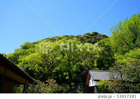 仙厳園 鹿児島県 仙厳園 鹿児島県 53937381