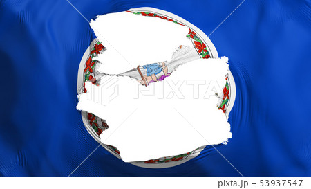 Tattered Virginia state flag 53937547