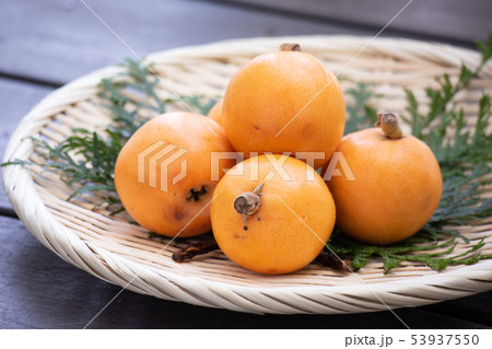 ビワ ビワ 53937550