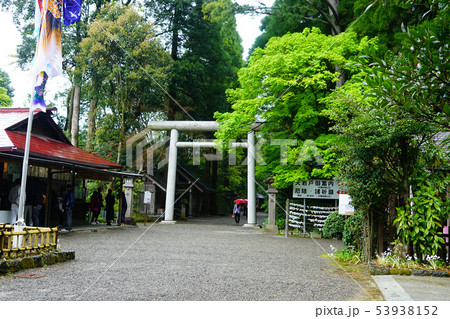 天岩戸神社 宮崎県 天岩戸神社 宮崎県 53938152