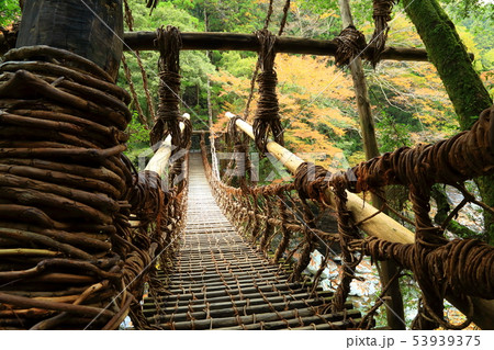 祖谷のかずら橋 秋景色 祖谷のかずら橋 秋景色 53939375