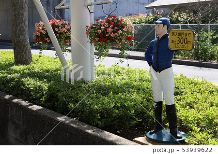 中京競馬場 フラワーロード 中京競馬場 フラワーロード 53939622