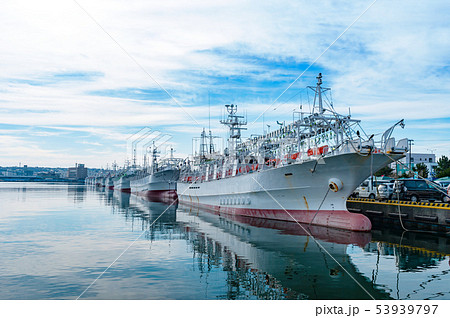 【青森県八戸市】八戸港のイカ釣り船 53939797