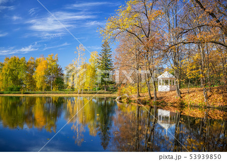 Sunny autumn in the park over lake Sunny autumn in the park over lake 53939850
