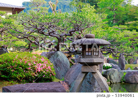日本庭園の写真素材