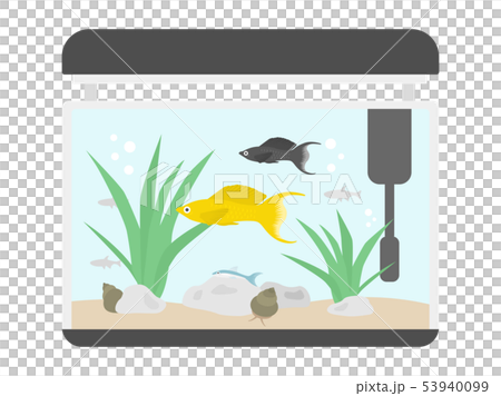 Tropical fish tank 53940099