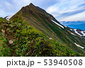 谷川岳主稜線に咲く花 53940508