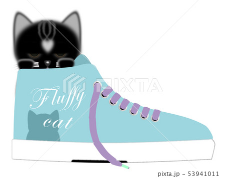 Fluffy cat Sesame 黒猫とスニーカーのイラスト素材 [53941011] - PIXTA