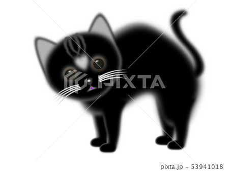 Fluffy Cat Sesame 背中を丸めた黒猫のイラスト素材