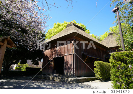 鹿児島県 下加治屋町 鹿児島県 下加治屋町 53941379