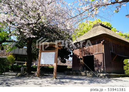 鹿児島県 下加治屋町 鹿児島県 下加治屋町 53941381