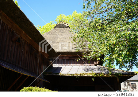 鹿児島県 下加治屋町 鹿児島県 下加治屋町 53941382