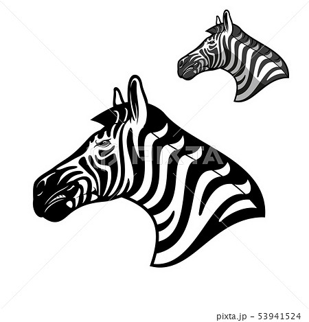 Zebra Head African Wild Animal Muzzle Iconのイラスト素材 53941524 Pixta