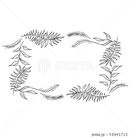 Vector hand drawn sketch with tropical leaves and Vector hand drawn sketch with tropical leaves and 53941715
