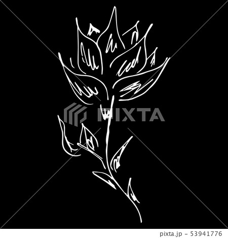 Abstract hand drawn lotus flower isolated on black 53941776