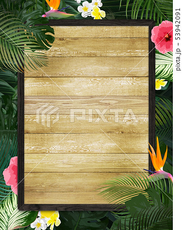 背景 夏 熱帯 トロピカル モンステラ プルメリア ハイビスカス 木製フレームのイラスト素材