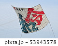 相模大凧祭り 53943578