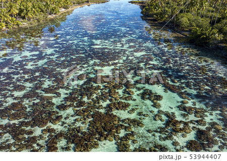 corals garden reefs in french polynesia aerial corals garden reefs in french polynesia aerial 53944407