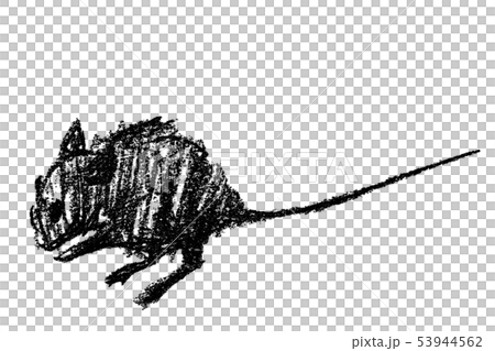 年賀状 鼠 デッサン Png 黒 イラストのイラスト素材