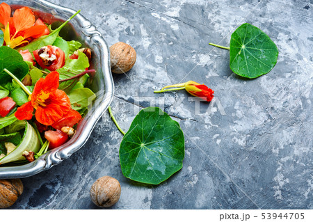 Summer nasturtium salad 53944705