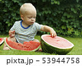 Portrait of toddler child outdoors with watermelon. Rural scene with two year old baby boy eating 53944758