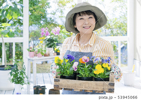 木箱のパンジーを持った笑顔のシニア女性 木箱のパンジーを持った笑顔のシニア女性 53945066
